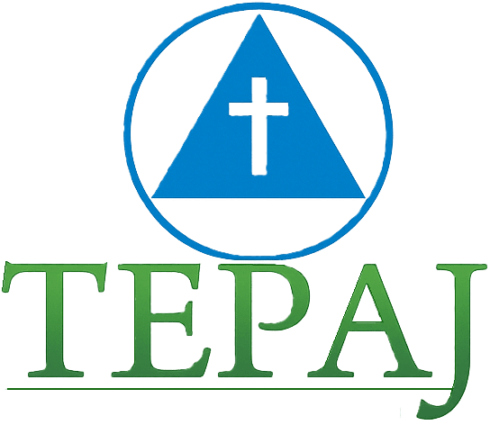 Ilustração de acesso da plataforma TEPAJ